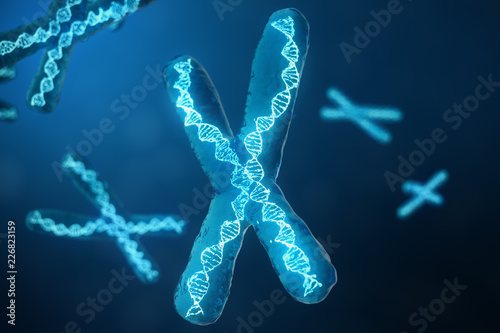 3D illustration X-Chromosomes with DNA carrying the genetic code. Genetics concept, medicine concept. Future, genetic mutations. Changing the genetic code at the biological level.