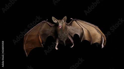 Blood thirsty vampire bat swooping in from the darkness. 3d rendering