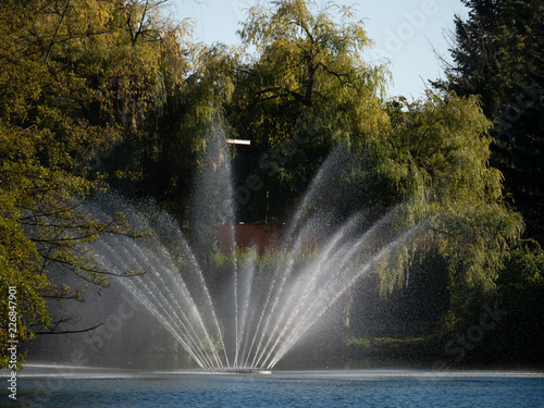 Fountain in the autumn park. Autumn park in background.