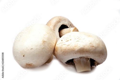 Three Champignons Mushrooms