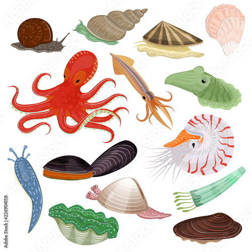 Shellfish vector marine animal octopus molluscs tentacle and animalistic character octopi oyster snail in sea illustration set of seafood cuttlefish and devilfish isolated on white background