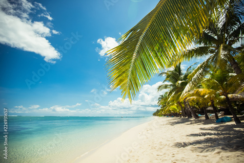 Tropical beach with palms and blue water.