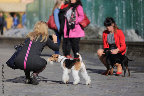 Kobiety z psami robią zdjęcia na tle fontanny.