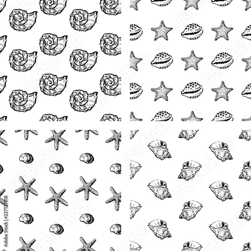  Set of backgrounds with different seashells