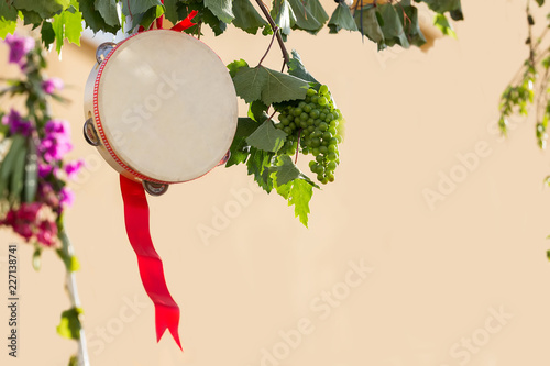 Italian tambourine with grapevine, Salento, Apulia, tambourine for pizzica and tarantella