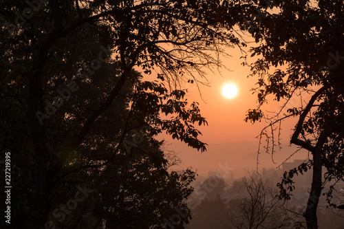 Natural opened gate made by a silhouette of trees, leaves and braches for a misty morning sunrise with orange sun and foggy surrounding.