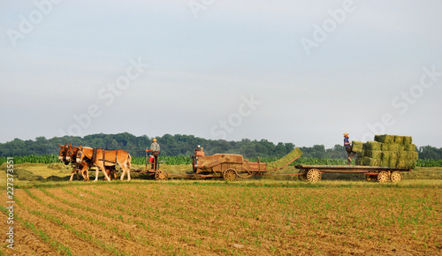 baling hay