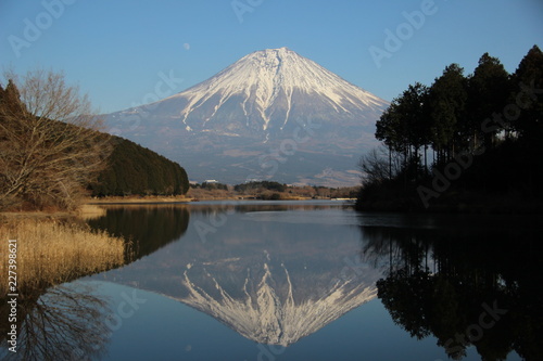 田貫湖 富士山