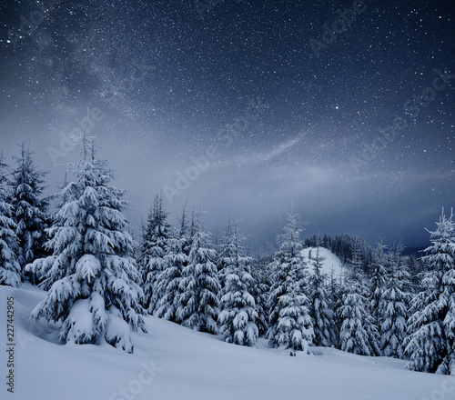 Dairy Star Trek in the winter woods. Dramatic and picturesque scene. In anticipation of the holiday. Carpathian, Ukraine, Europe