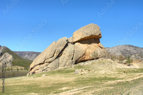 “Turtle Rock ” - rock formation in The Gorkhi Terelj National Park, Mongolia 