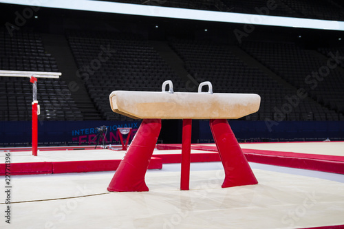 A pommel horse in a gymnastic arena 