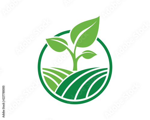 Vector Circle Green Leaf Growing Plant Modern Agriculture Sign Symbol Icon Logo Design Inspiration