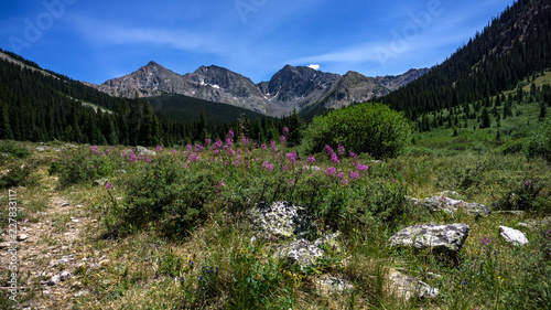 Colorado mountain peaks with flowers in valley