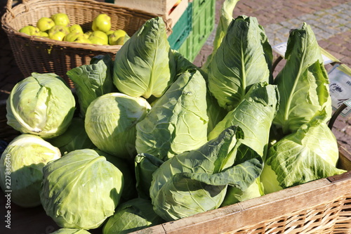 Grüner Spitzkohl und Weißkohl Kohl in einem großen Weidenkorb