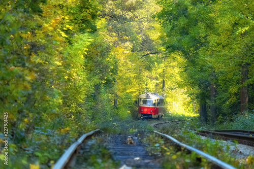 Tram line runs in the dense thickets of forest. Old red tram at the perspective distance. Tram goes through a tunnel in the forest. Kiev, Ukraine. Summer landscape in a park with tram, background.