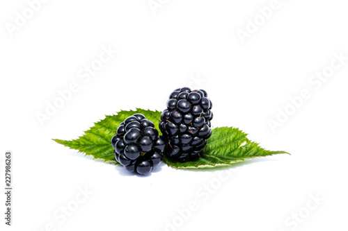 Brombeeren Brombeere isoliert freigestellt auf weißen Hintergrund, Freisteller