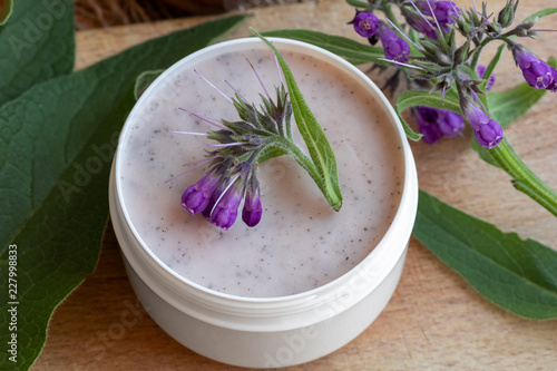 A jar of homemade comfrey root ointment with fresh blooming symphytum plant