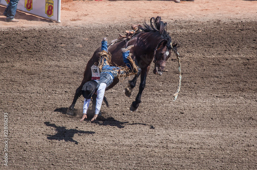 Bucking Bronco Throwing Rider