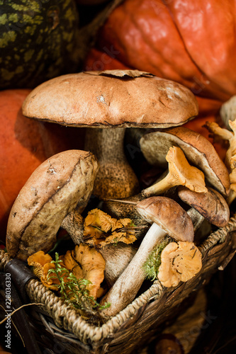 big mushroom in the basket