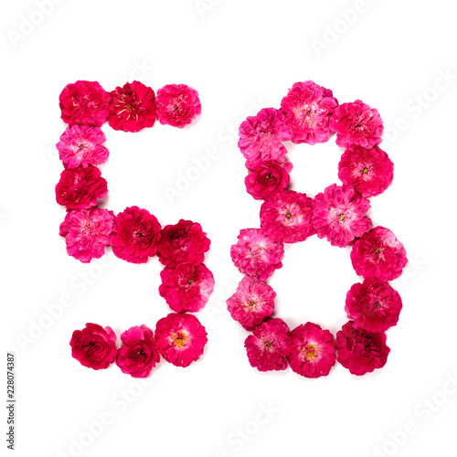 number 58 from flowers of a red and pink rose on a white background. Typographical element for design. Flower numbers, date, isolate, isolated