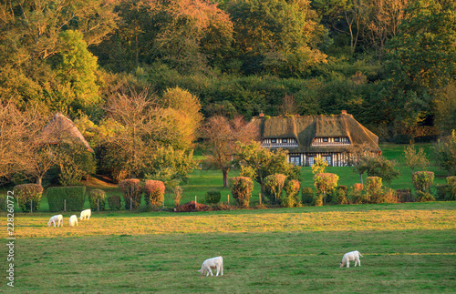 Chaumière dans le marais vernier en automne, Normandie