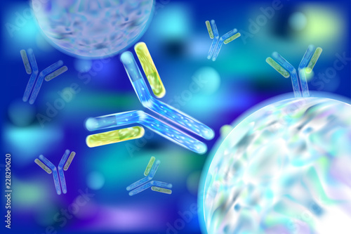 Antibody (Ab), also known as an immunoglobulin (Ig). 3d vector. 