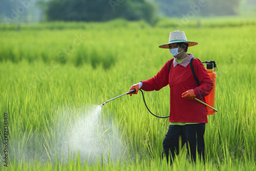  pesticides is harmful to health