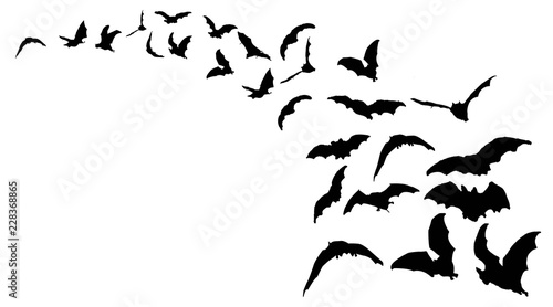 Flying bats in the nightsky