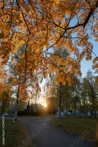 Morning at Franzen park in Oulu Finland