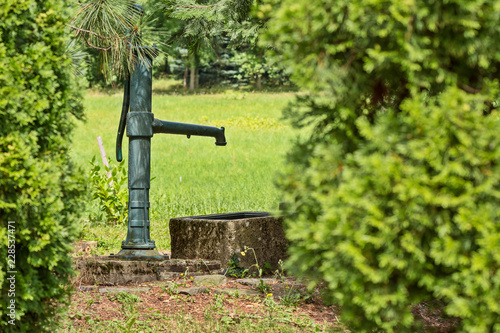 water well in the park between the trees