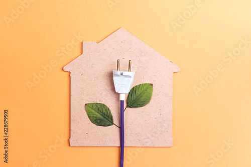 House symbol with plug like a plant. Save energy concept.