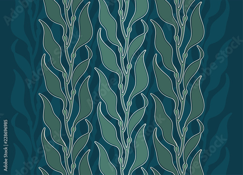 Edible seafood kelp seaweed illustration