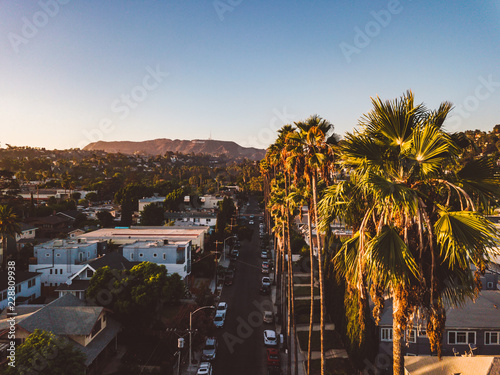 Beverly Hills street with palm trees at sunset in Los Angeles with Hollywood sign on the horizon.