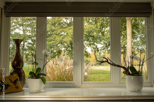 Bay window house