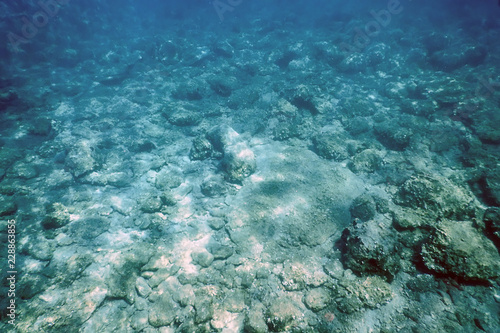 Sea Life Underwater rocks Sunlight, Underwater Life.