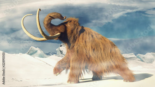 woolly mammoth, prehistoric animal in frozen ice age landscape (3d illustration)