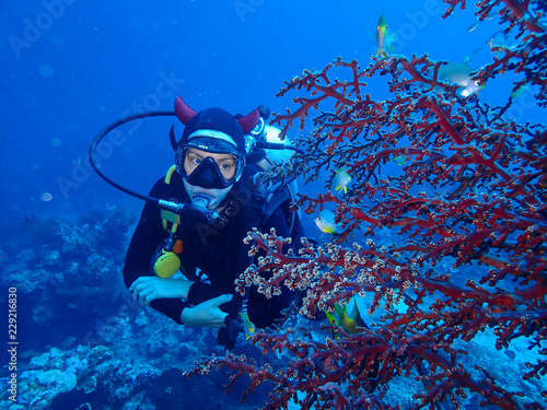 plongée sous marine 