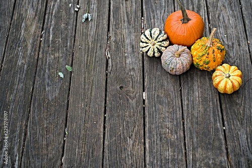 Colorful pumpkins on wooden background 