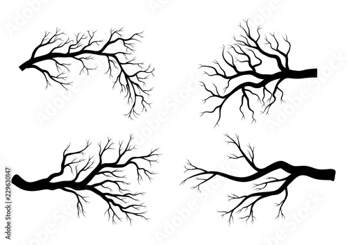 bare branch winter set design isolated on white background