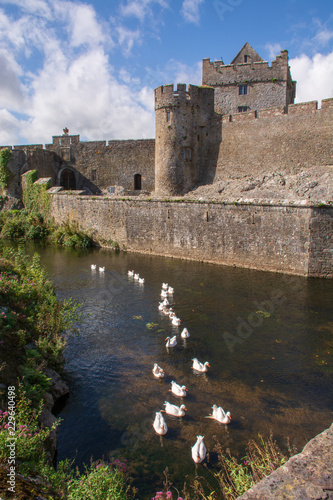 Medieval Irish Castle with swans swimming in moat on bright sunny day