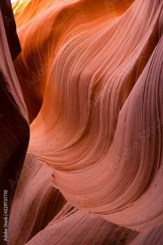 PAGE, AZ, USA Arresting rock formations in Lower Antelope Canyon.