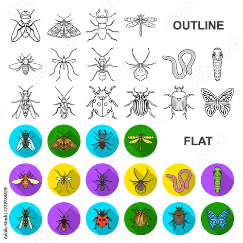 Different kinds of insects flat icons in set collection for design. Insect arthropod vector symbol stock web illustration.