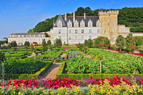 Villandry Castle with garden Indre-et-Loire Centre France.