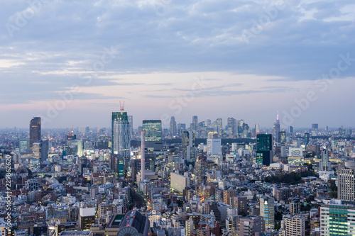 tokyo twilight