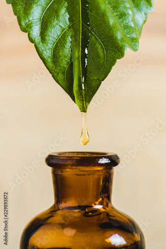 essential oil dripping from leaf into glass bottle isolated on beige