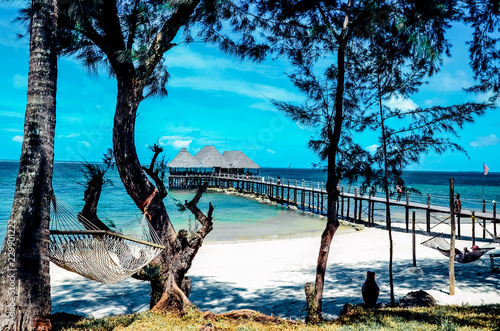 Paradise beach view hammock on a white sand blue sea ocean