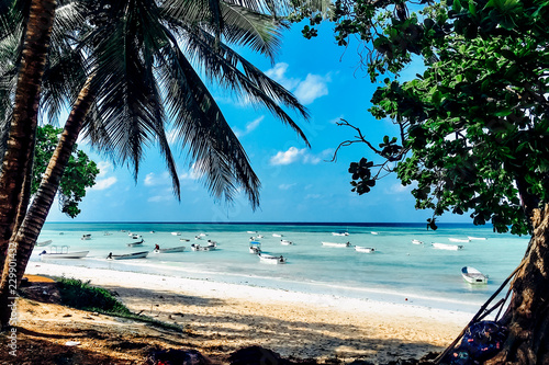 Paradise beach view with boats on ocean