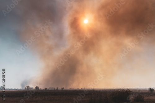 A large fire in the cane fields in the nature reserve