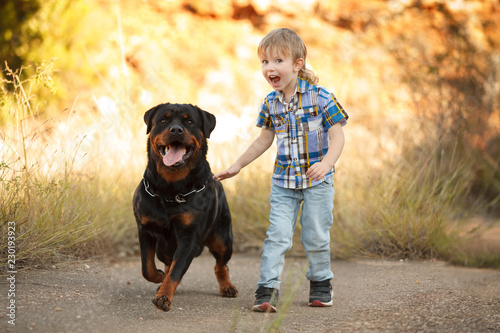 best friends boy and big dog breed Rottweiler for a walk having fun together