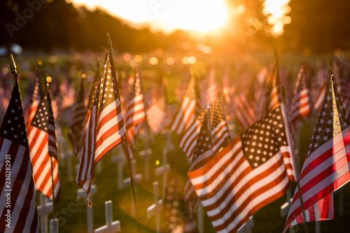 Field of American flags at Sunset